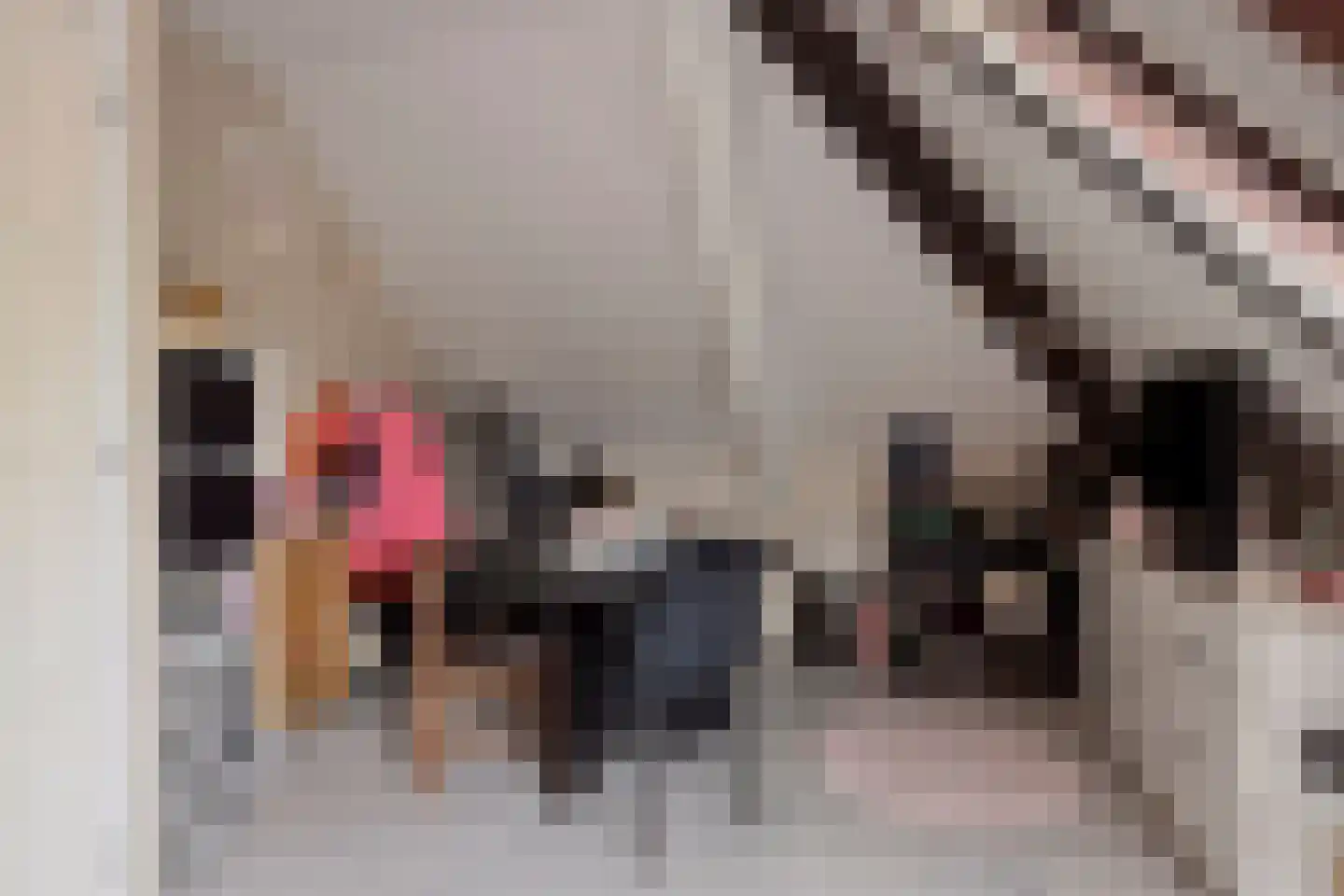 Beekpunge 34 Schoonebeek thumbnail 24