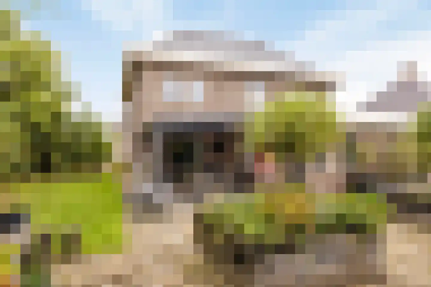 Beekpunge 34 Schoonebeek thumbnail 25