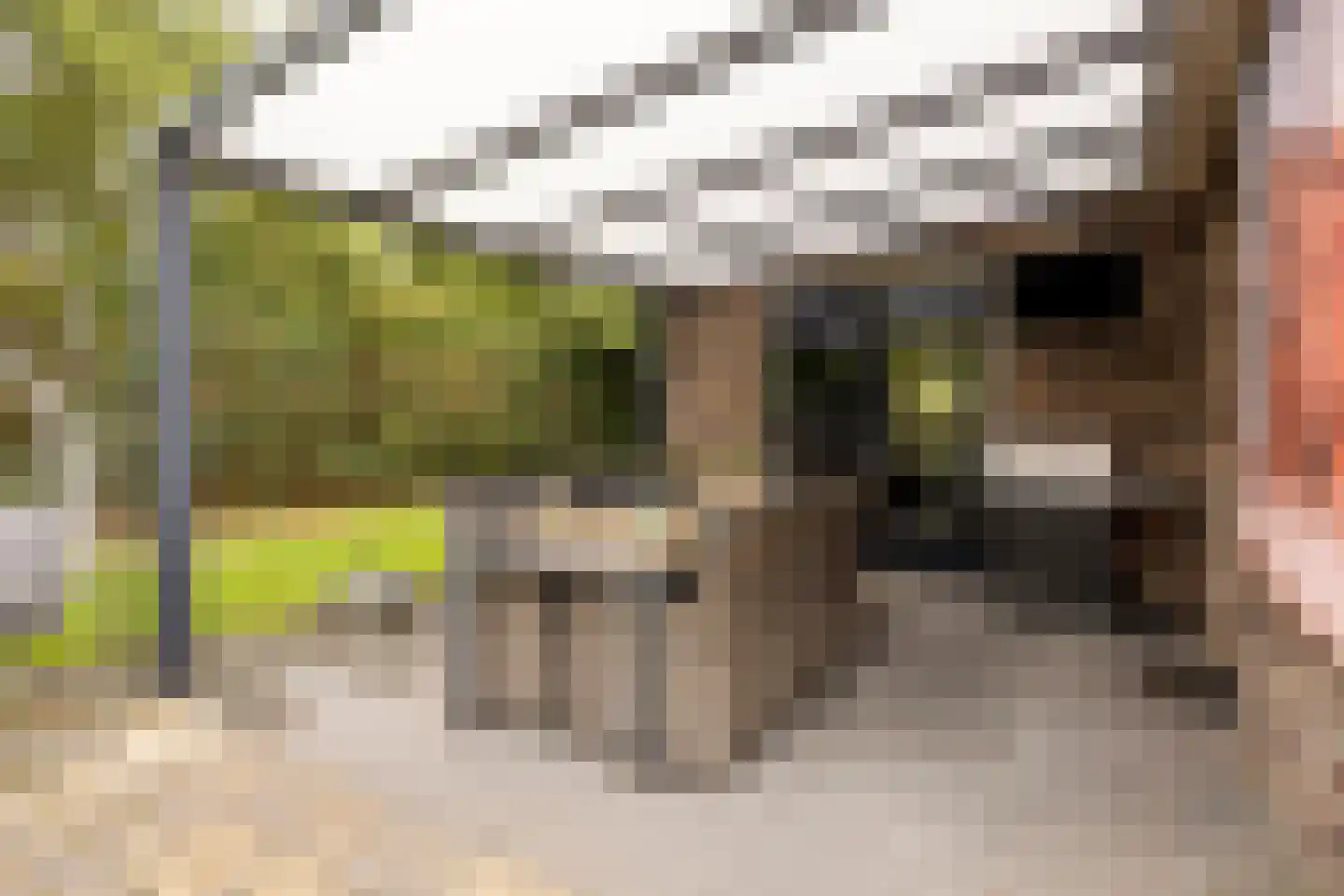 Beekpunge 34 Schoonebeek thumbnail 26