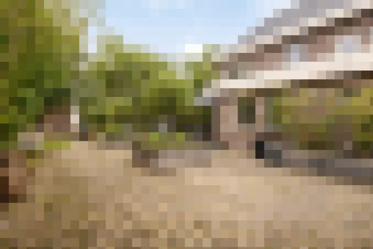Beekpunge 34 Schoonebeek thumbnail 28