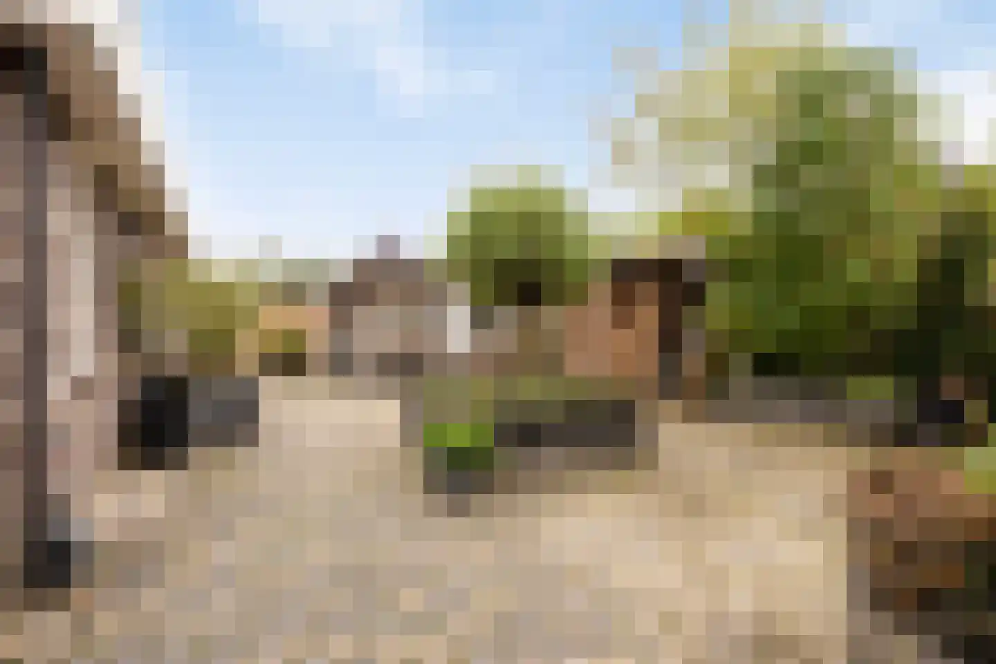 Beekpunge 34 Schoonebeek thumbnail 29