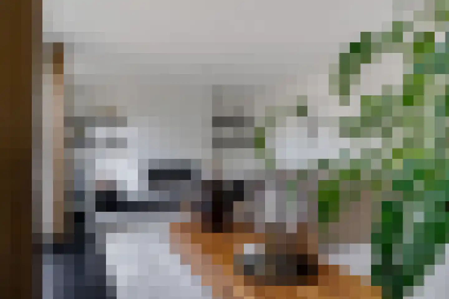 Beekpunge 38 Schoonebeek thumbnail 10