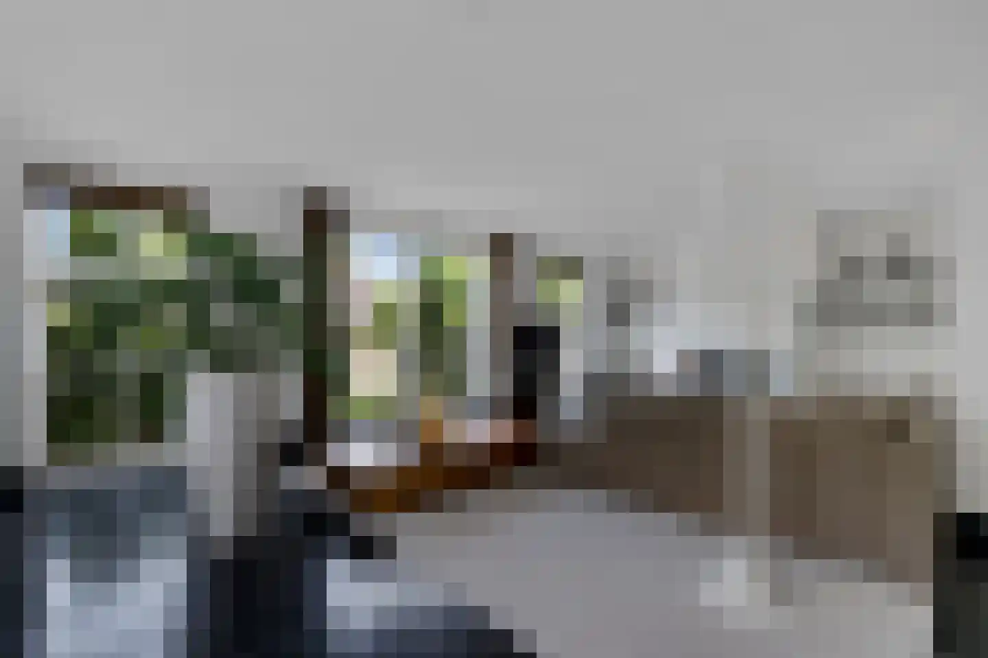 Beekpunge 38 Schoonebeek thumbnail 11