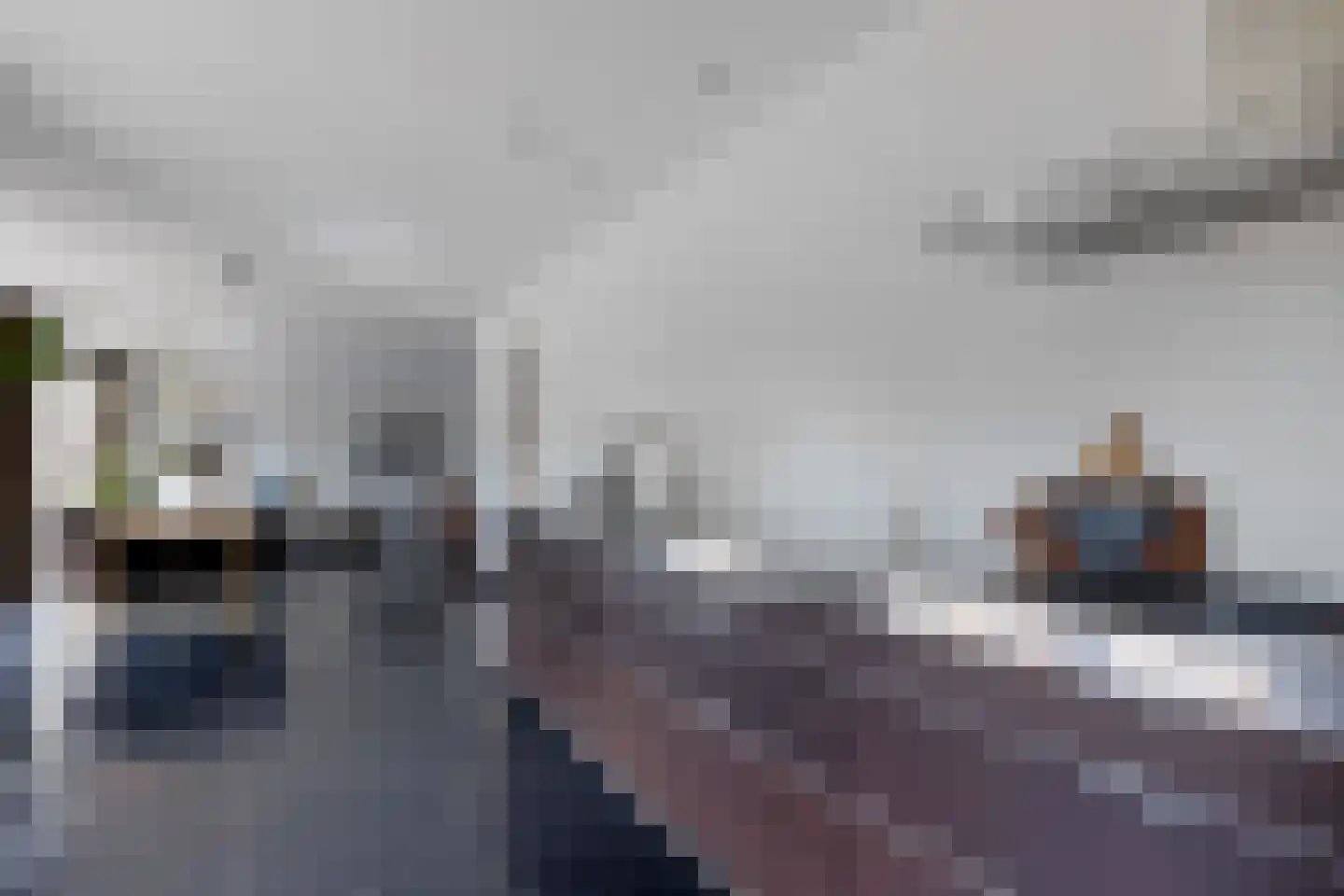 Beekpunge 38 Schoonebeek thumbnail 18