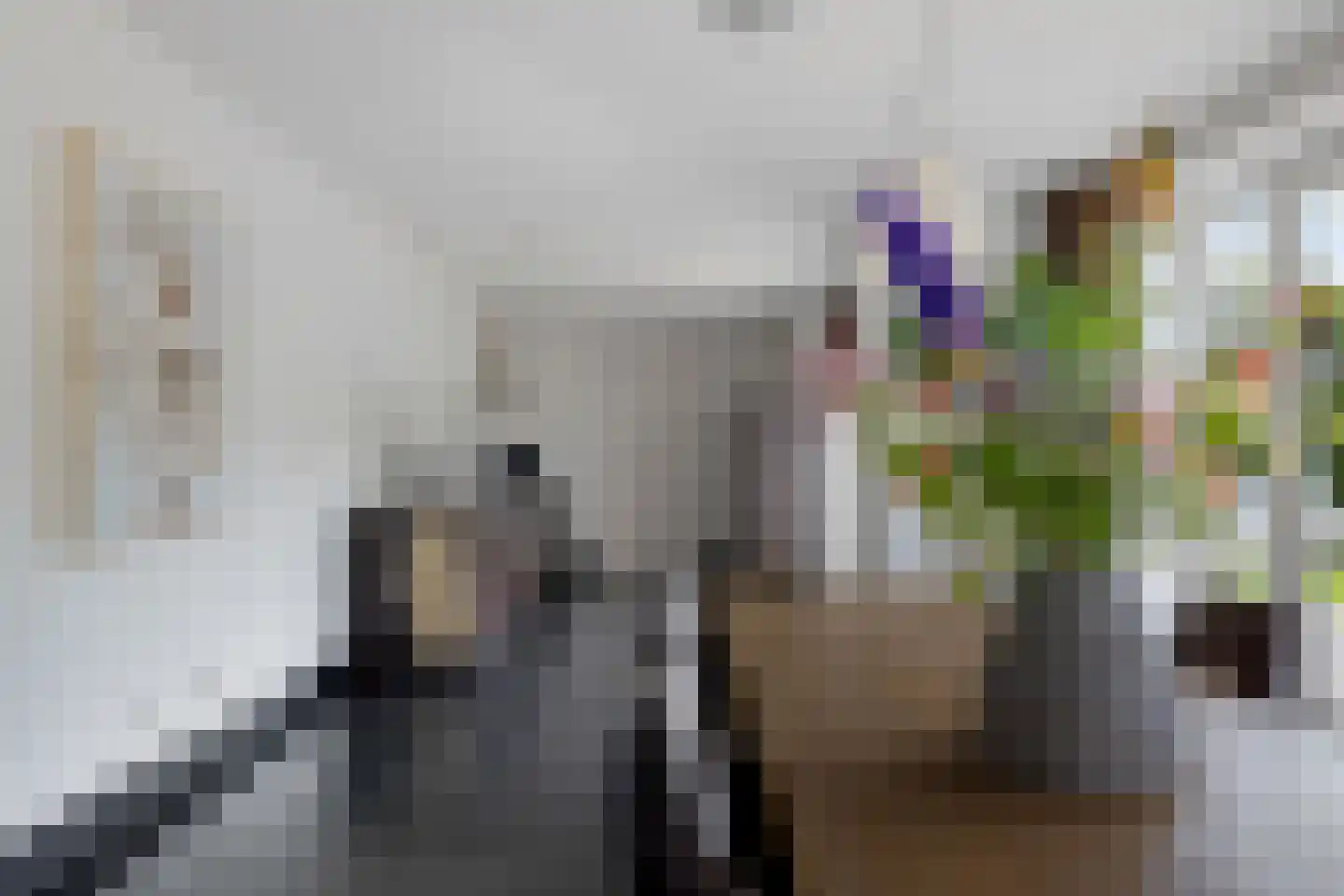 Beekpunge 38 Schoonebeek thumbnail 20