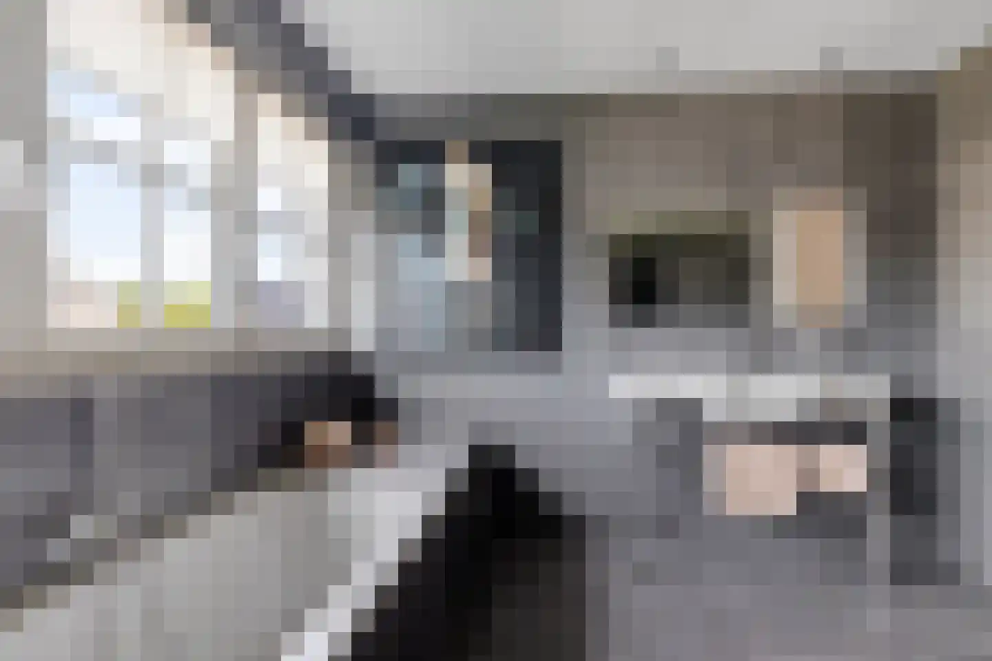Beekpunge 38 Schoonebeek thumbnail 24