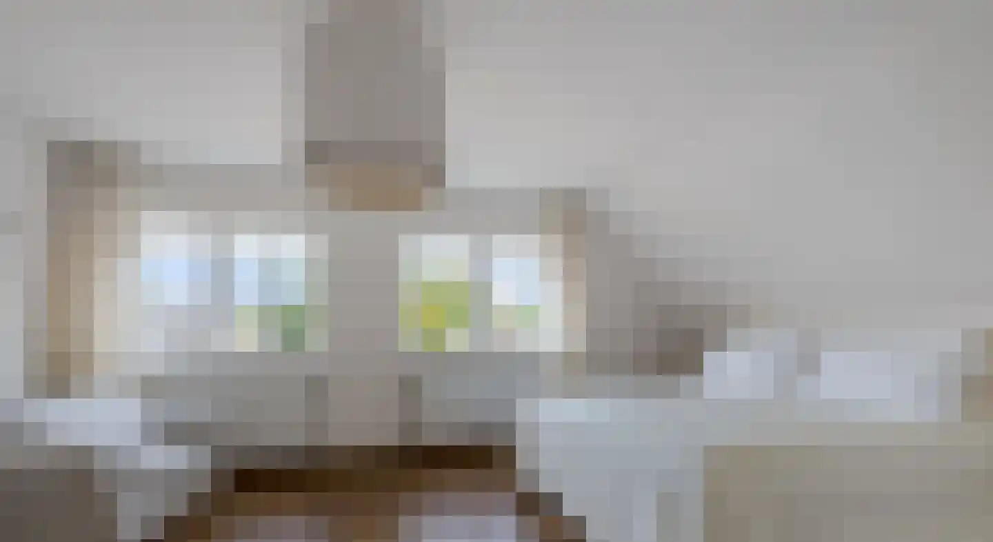 Beekpunge 38 Schoonebeek thumbnail 26