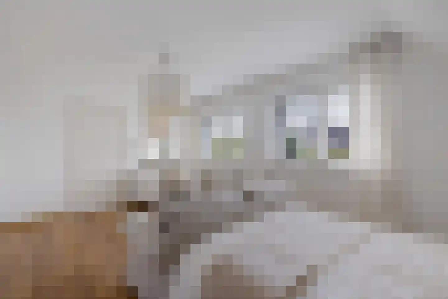 Beekpunge 38 Schoonebeek thumbnail 30