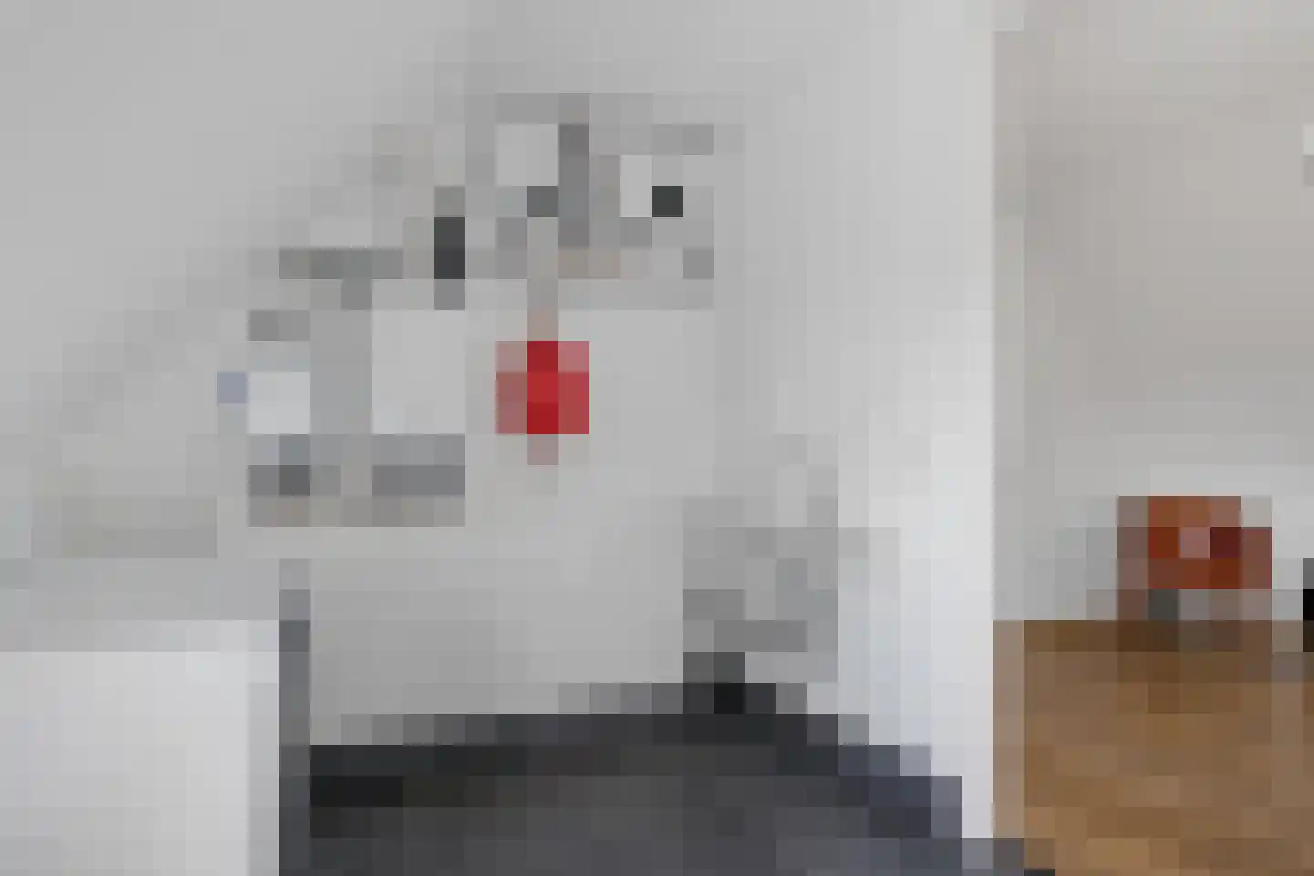 Beekpunge 38 Schoonebeek thumbnail 34