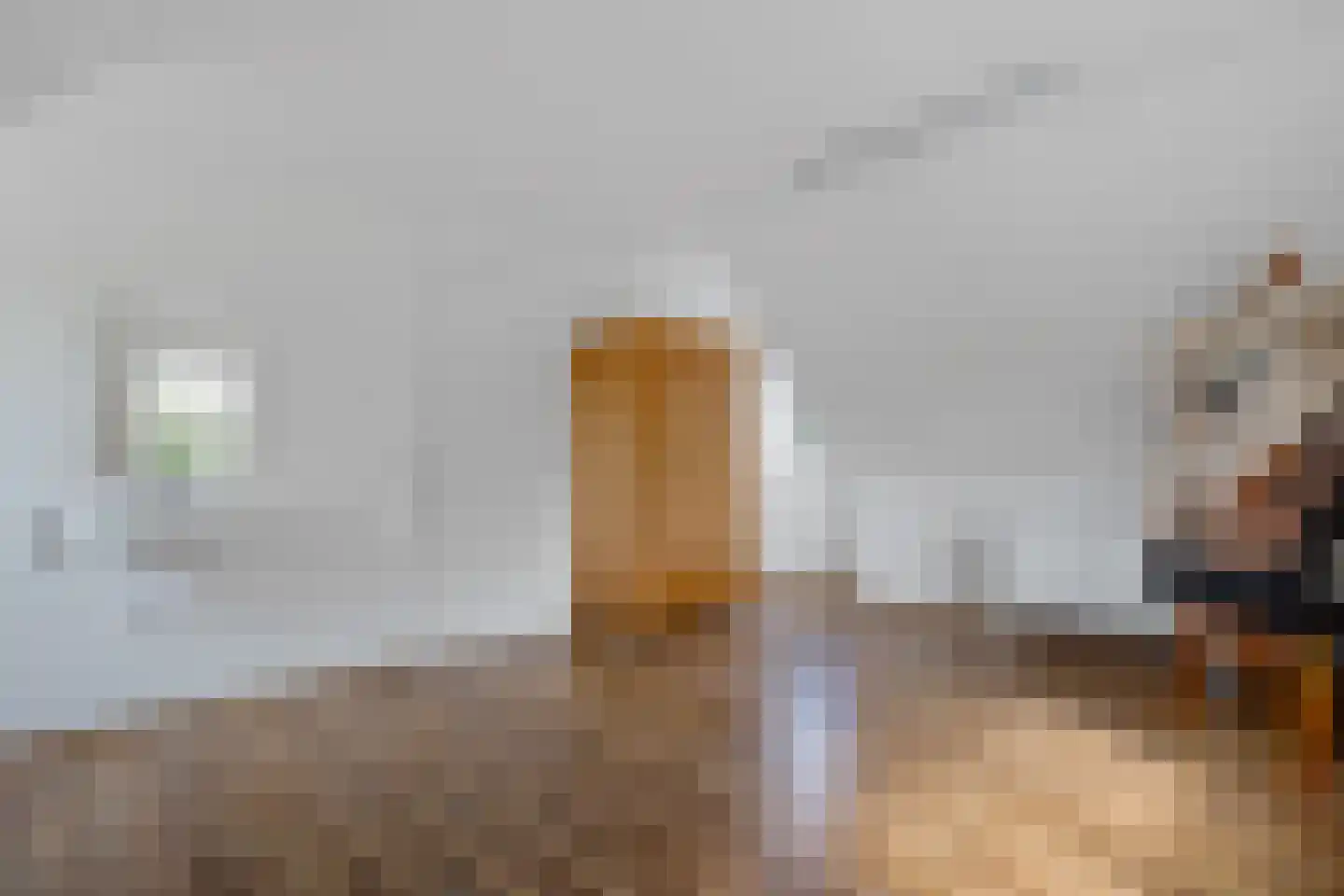 Beekpunge 38 Schoonebeek thumbnail 36