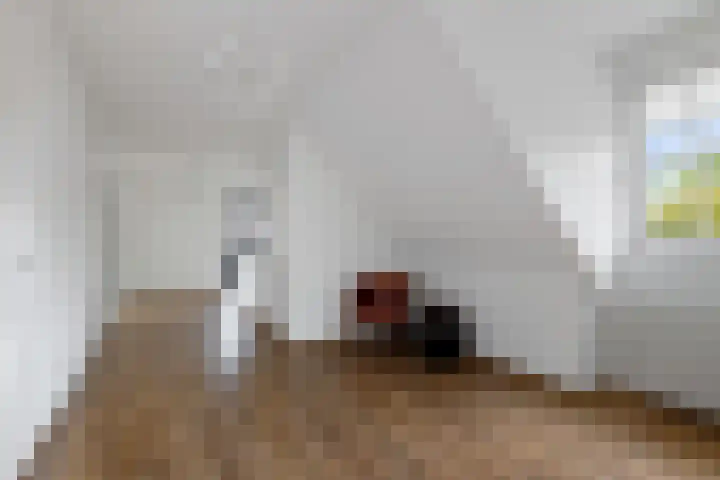 Beekpunge 38 Schoonebeek thumbnail 37