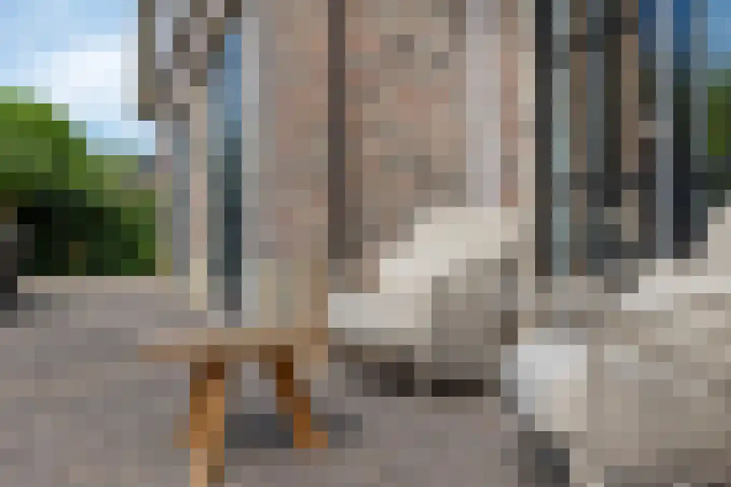 Beekpunge 38 Schoonebeek thumbnail 40