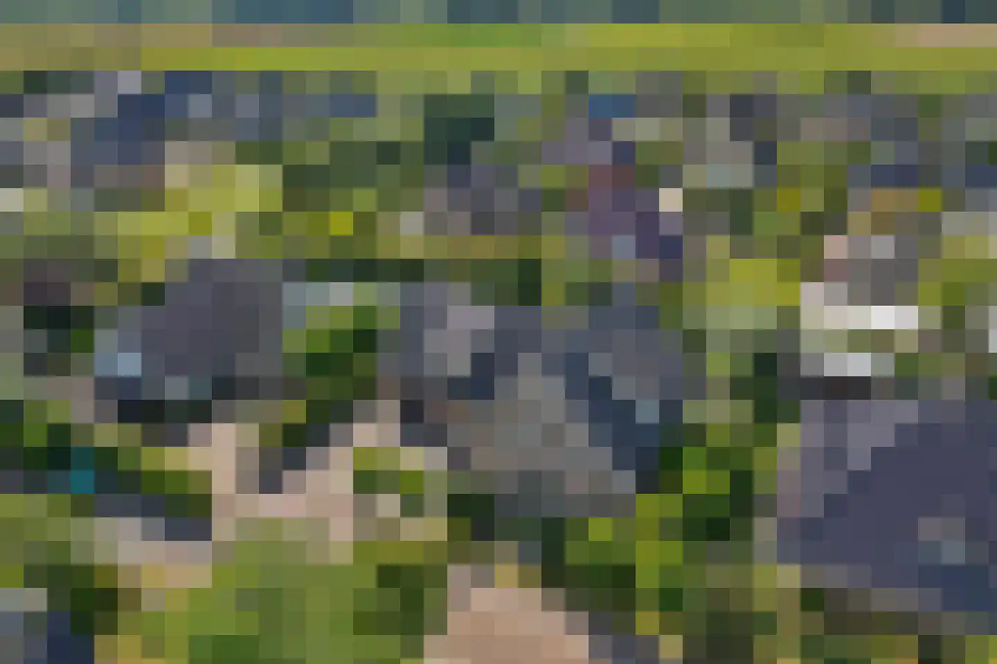 Beekpunge 38 Schoonebeek thumbnail 45