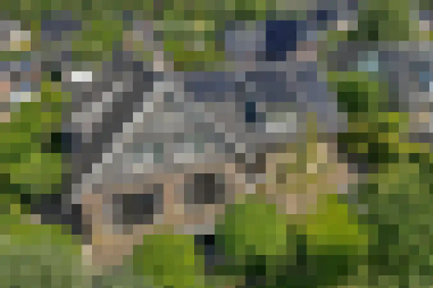 Beekpunge 38 Schoonebeek thumbnail 46