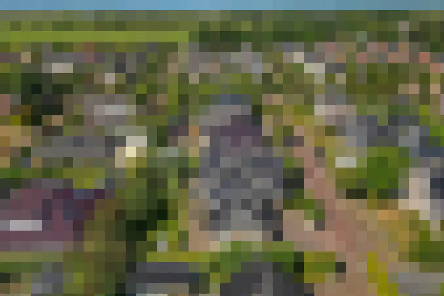 Beekpunge 38 Schoonebeek thumbnail 48