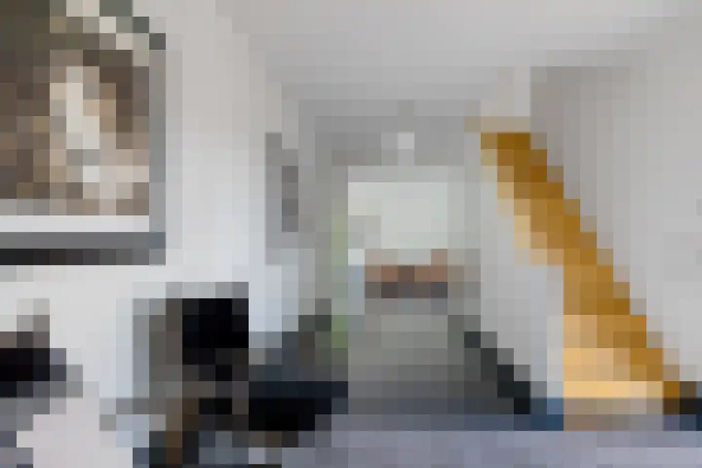 Beekpunge 38 Schoonebeek thumbnail 5