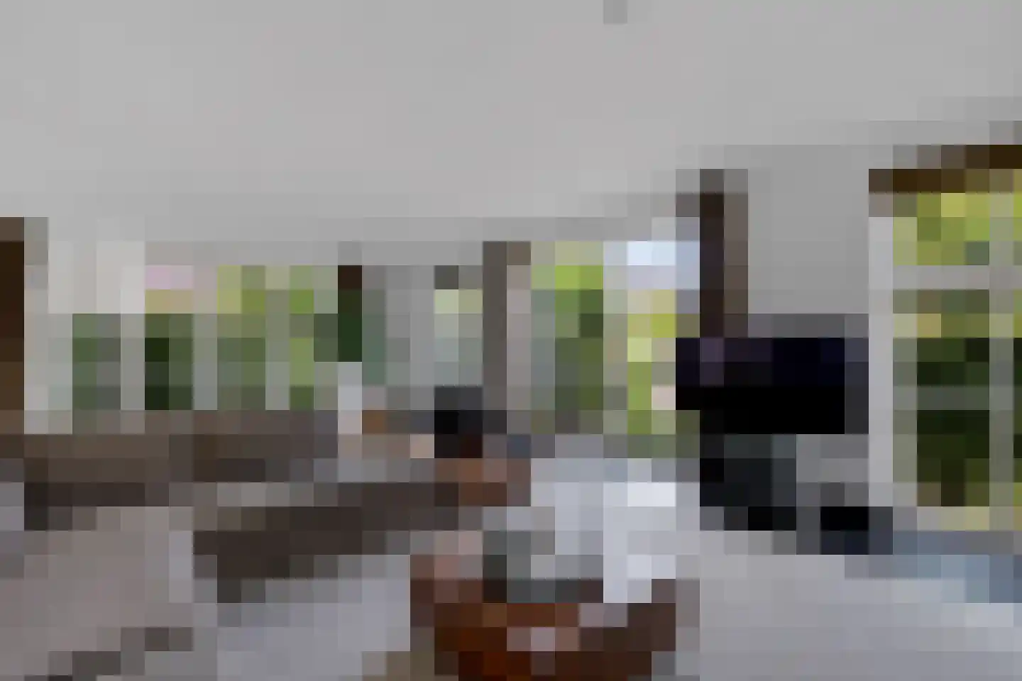 Beekpunge 38 Schoonebeek thumbnail 7