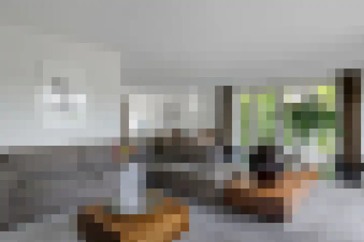 Beekpunge 38 Schoonebeek thumbnail 8