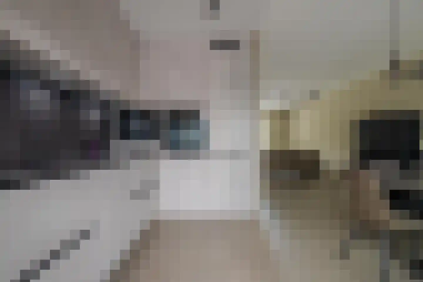 Beekpunge 38 Tegelen thumbnail 18