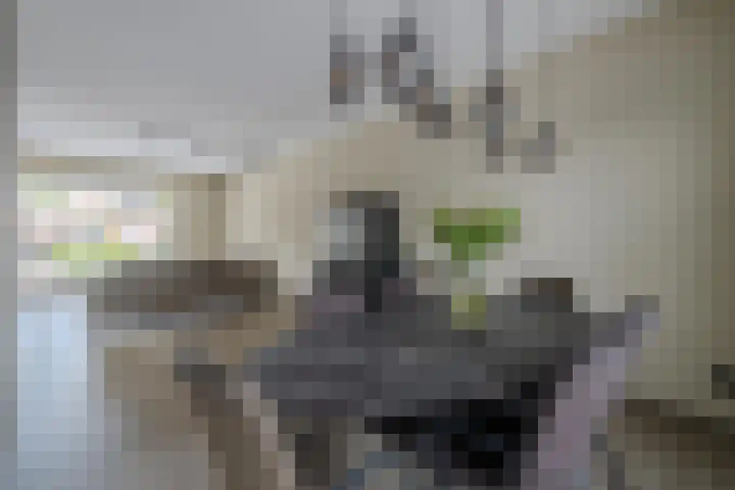 Beekpunge 38 Tegelen thumbnail 19