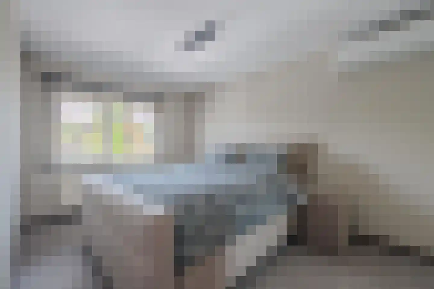 Beekpunge 38 Tegelen thumbnail 23