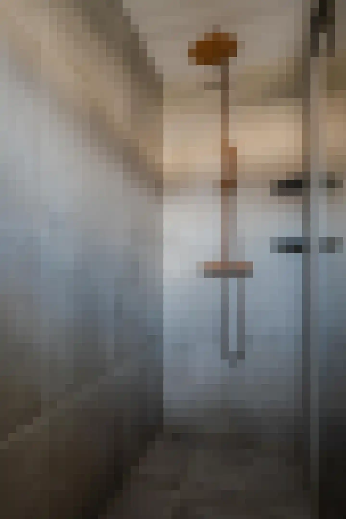 Beekpunge 38 Tegelen thumbnail 27