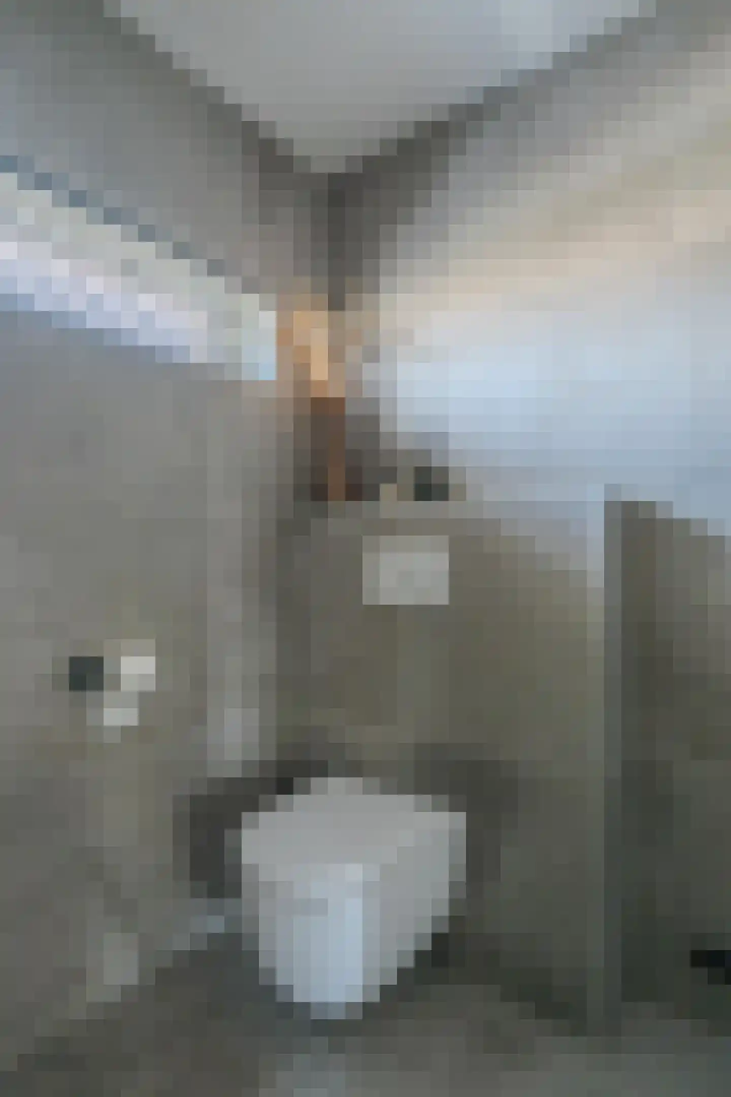 Beekpunge 38 Tegelen thumbnail 29