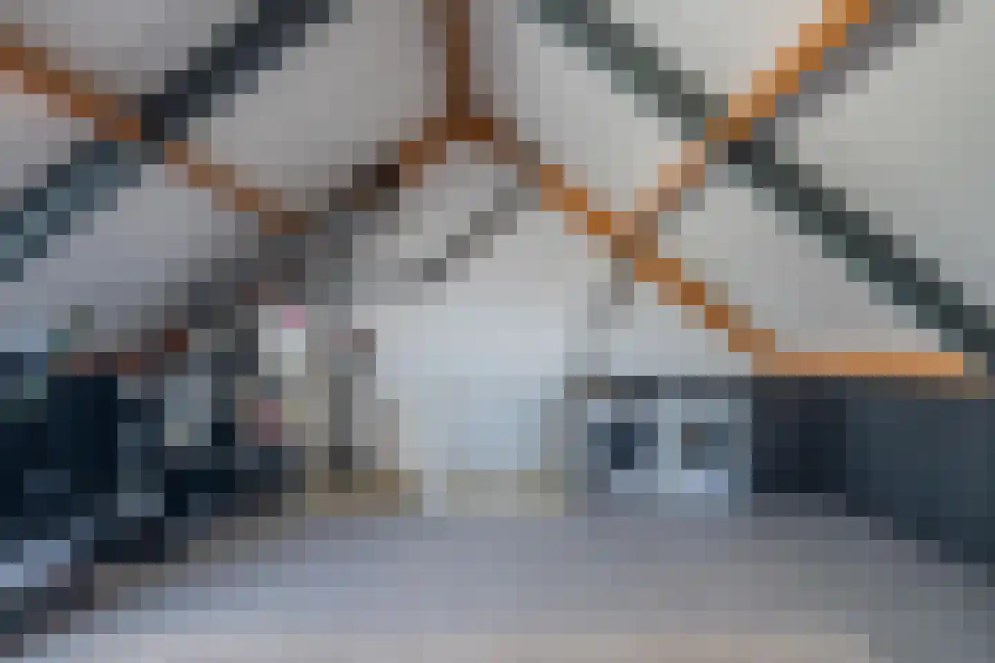 Beekpunge 38 Tegelen thumbnail 33