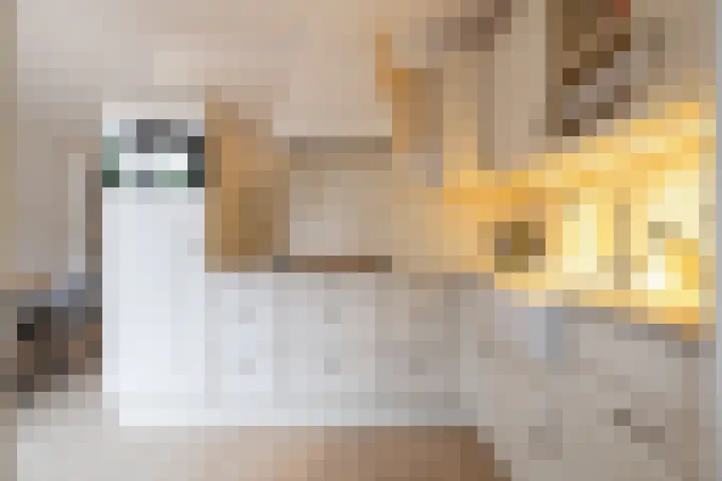 Beekpunge 41 Schoonebeek thumbnail 30