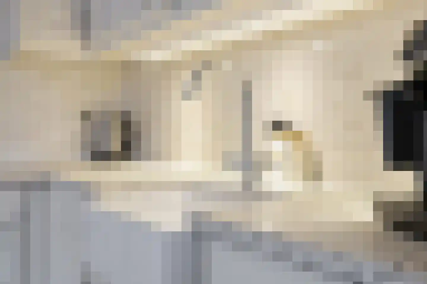 Beekpunge 41 Schoonebeek thumbnail 31