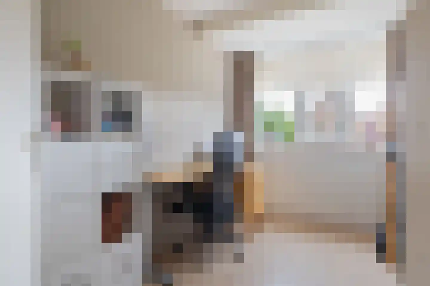 Beekpunge 41 Schoonebeek thumbnail 40