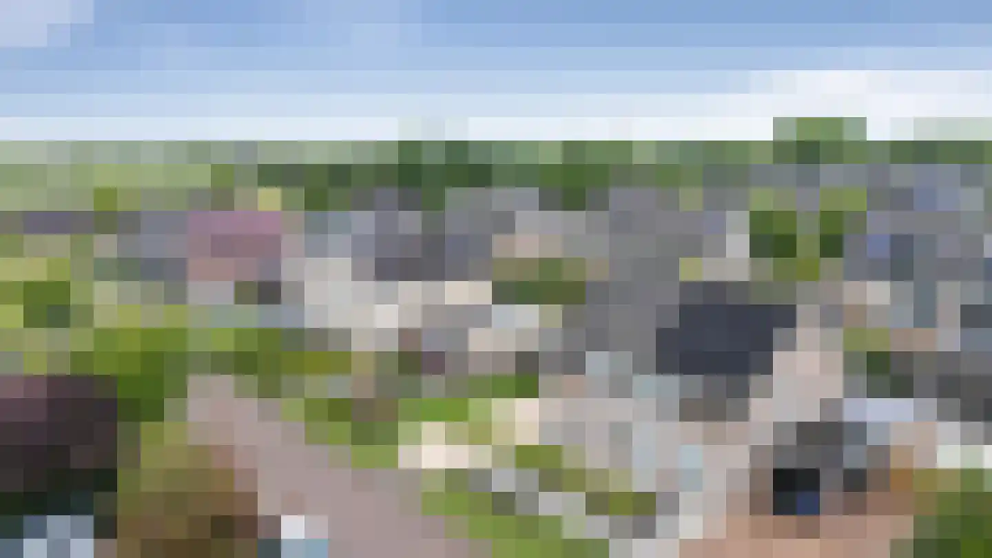 Beekpunge 41 Schoonebeek thumbnail 46