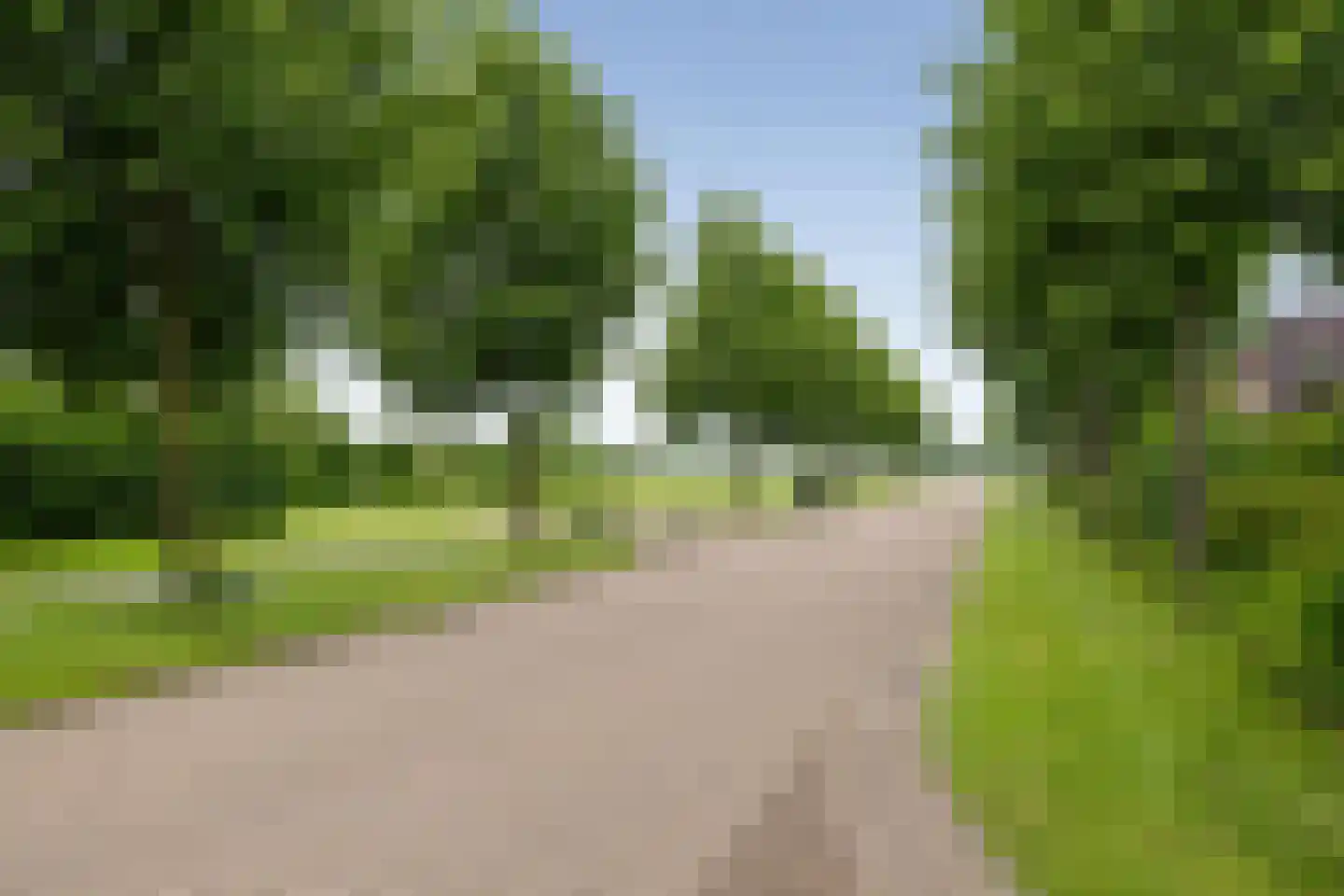 Beekpunge 41 Schoonebeek thumbnail 48