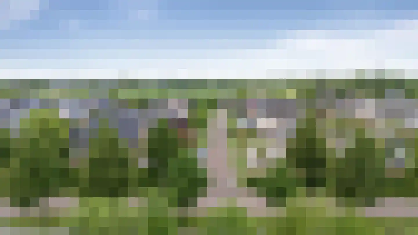 Beekpunge 41 Schoonebeek thumbnail 50