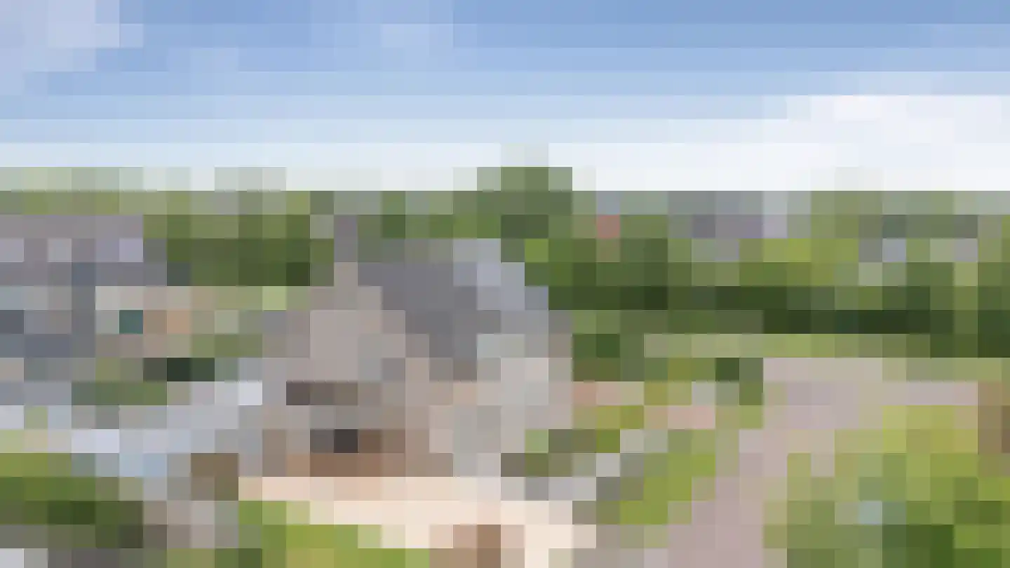 Beekpunge 41 Schoonebeek thumbnail 8