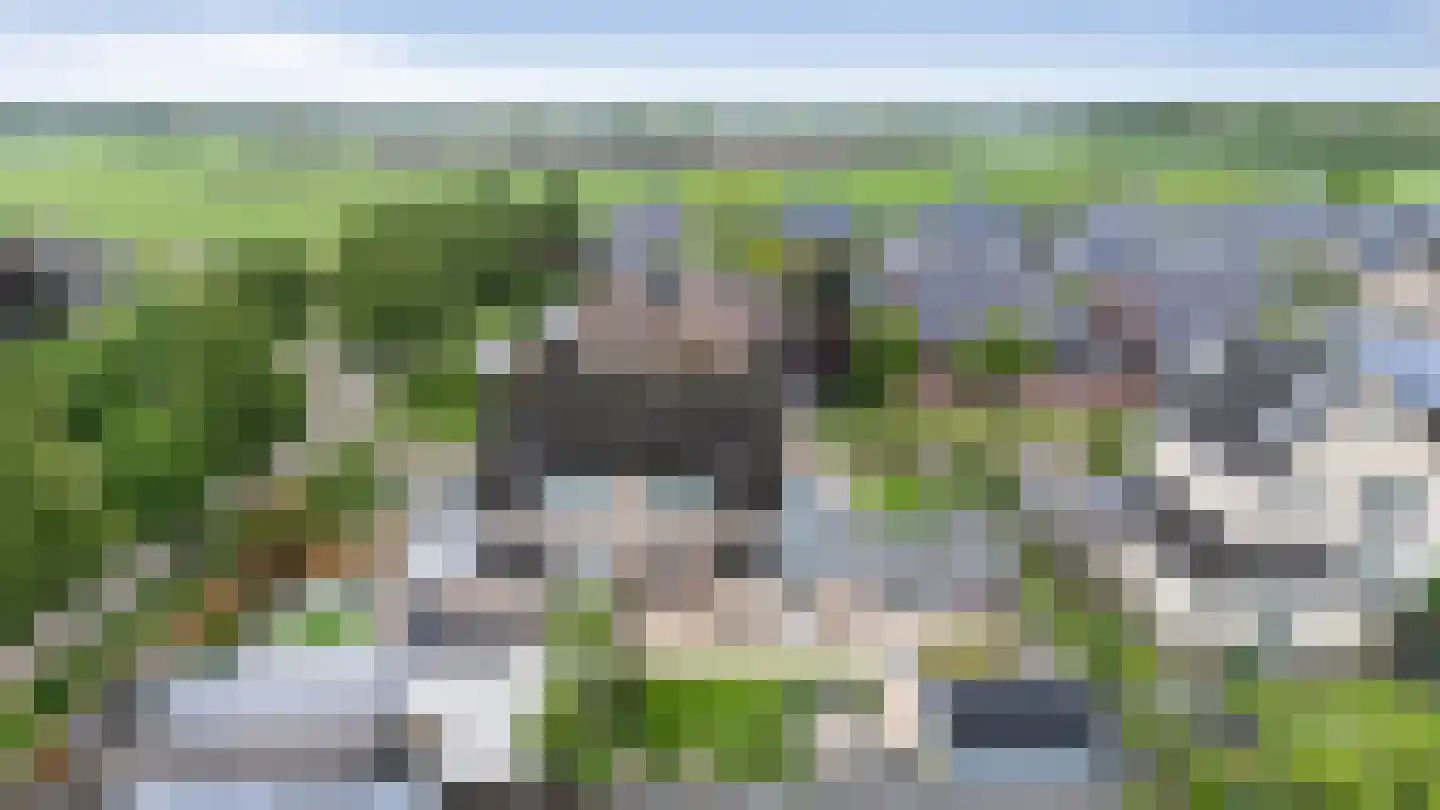 Beekpunge 41 Schoonebeek thumbnail 9