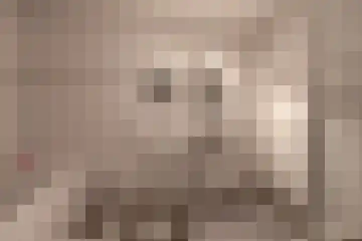 Beekpunge 45 Tegelen thumbnail 13