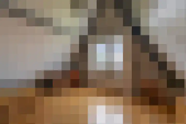 Beekpunge 45 Tegelen thumbnail 17