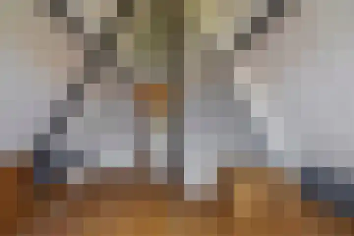 Beekpunge 45 Tegelen thumbnail 18
