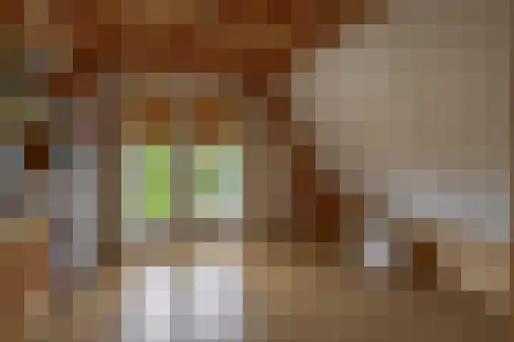 Beekpunge 45 Tegelen thumbnail 19