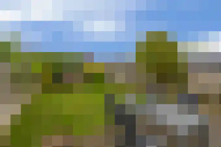 Beekpunge 45 Tegelen thumbnail 22