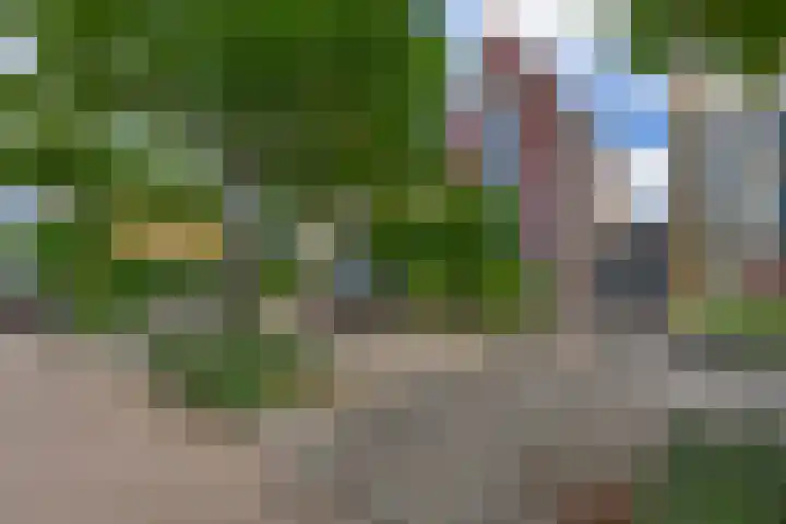 Beekpunge 45 Tegelen thumbnail 24