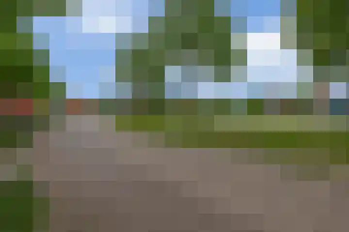 Beekpunge 45 Tegelen thumbnail 26