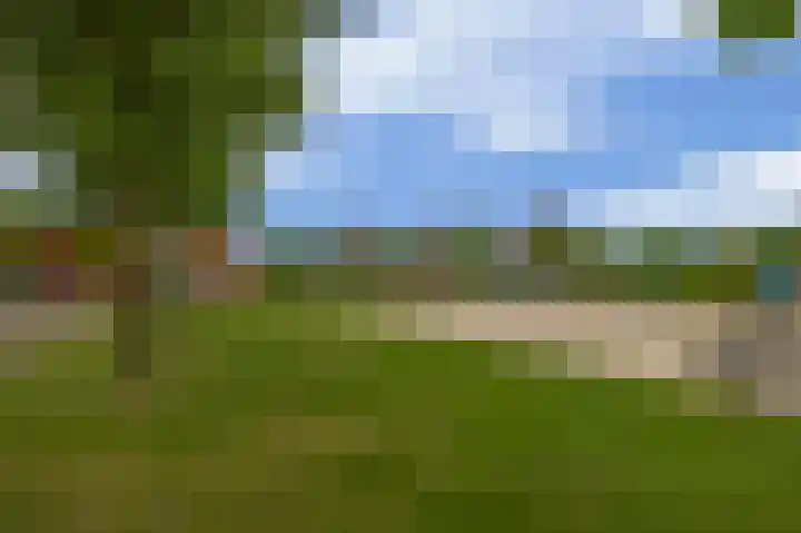 Beekpunge 45 Tegelen thumbnail 27