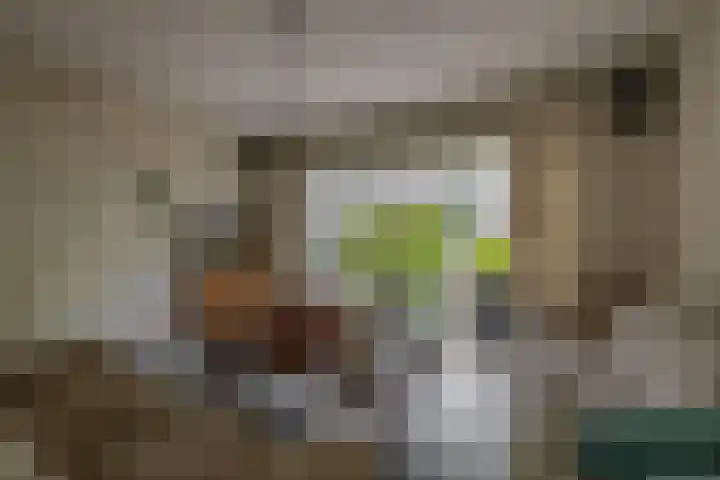 Beekpunge 45 Tegelen foto 3