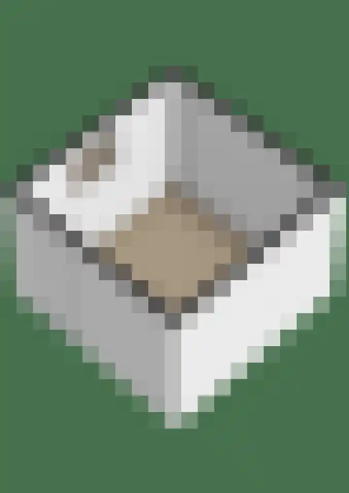Beekpunge 45 Tegelen thumbnail 35
