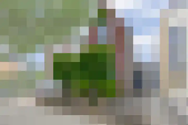 Beekpunge 45 Tegelen thumbnail 36