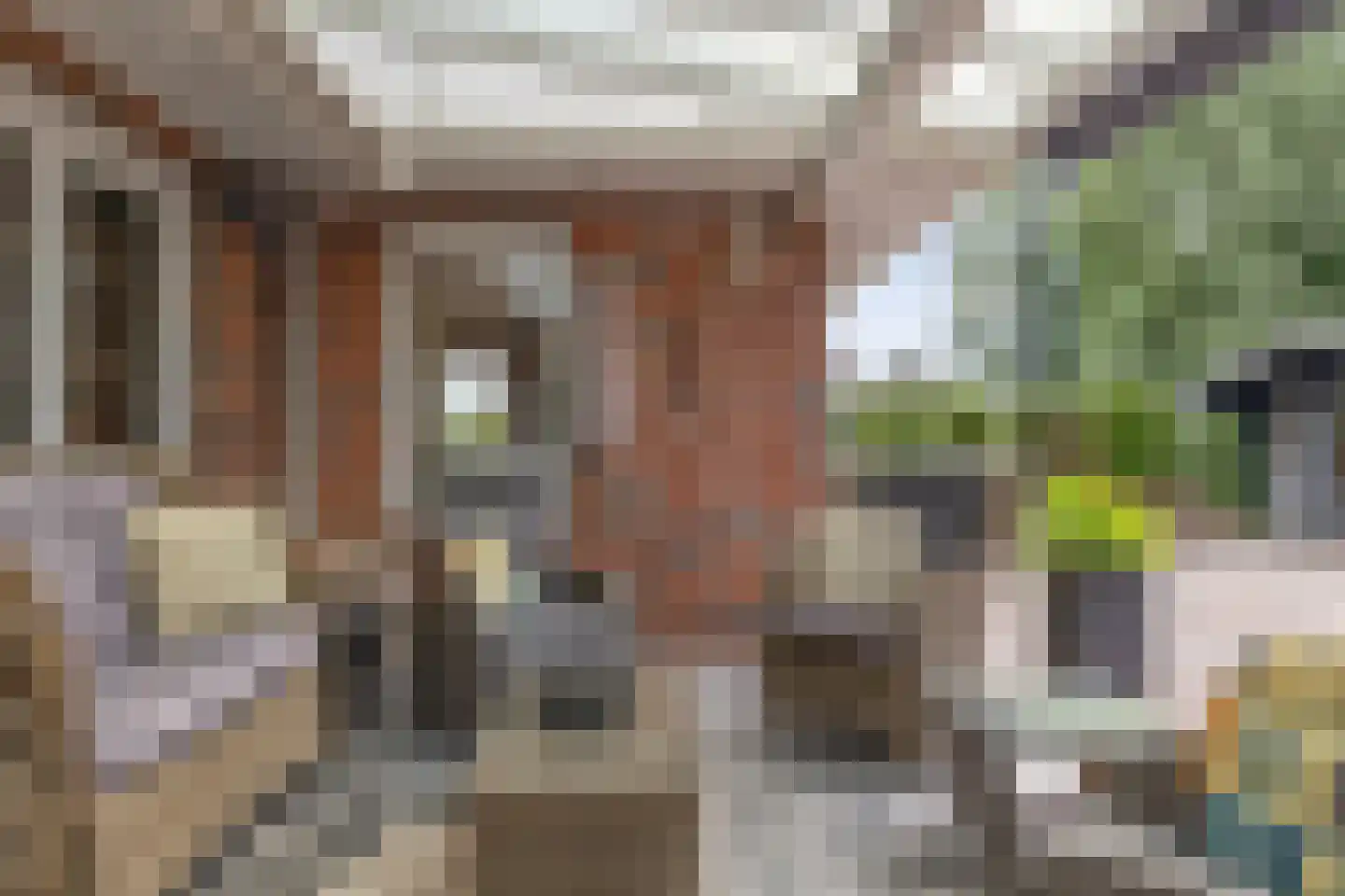 Beekpunge 56 Schoonebeek thumbnail 13