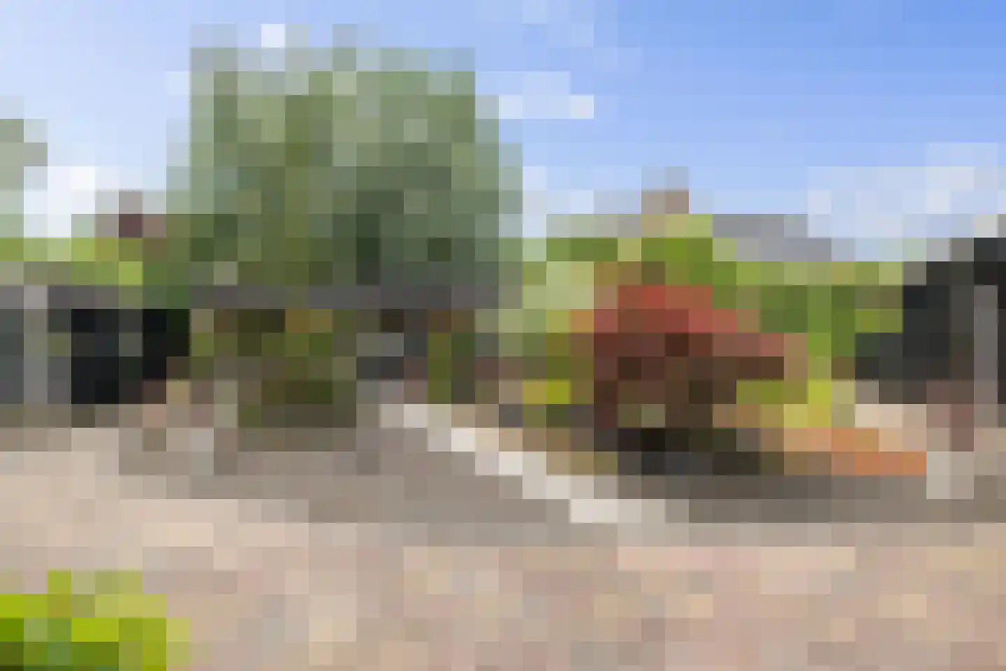 Beekpunge 56 Schoonebeek thumbnail 14