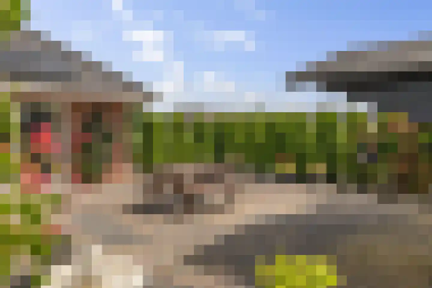 Beekpunge 56 Schoonebeek thumbnail 15